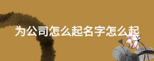 為公司怎么起名字怎么起
