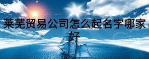 萊蕪貿(mào)易公司怎么起名字哪家好