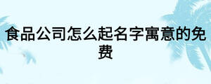 食品公司怎么起名字寓意的免費