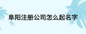 阜陽注冊公司怎么起名字