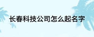 長春科技公司怎么起名字