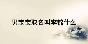 男寶寶取名叫李錦什么