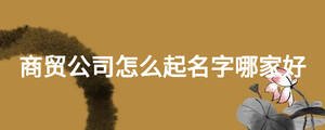 商貿(mào)公司怎么起名字哪家好