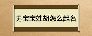 男寶寶姓胡怎么起名