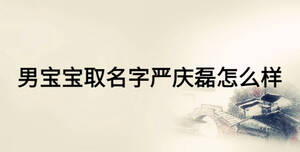 男寶寶取名字嚴慶磊怎么樣