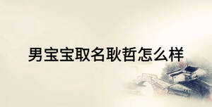 男寶寶取名耿哲怎么樣