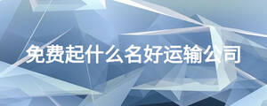 免費起什么名好運輸公司