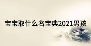 寶寶取什么名寶典2021男孩