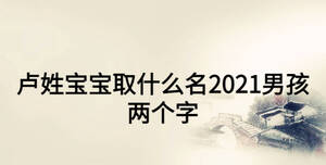 盧姓寶寶取什么名2021男孩兩個字