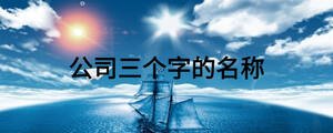 公司三個字的名稱