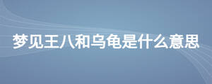 夢見王八和烏龜是什么意思