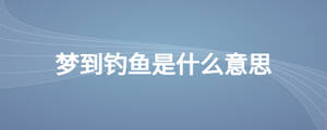 夢到釣魚是什么意思