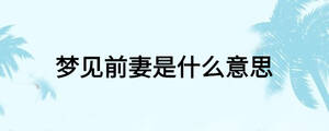 夢見前妻是什么意思
