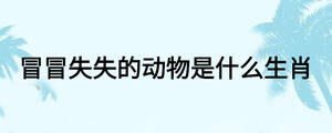 冒冒失失的動物是什么生肖