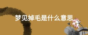 夢見掉毛是什么意思