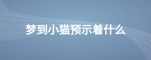 夢到小貓預(yù)示著什么