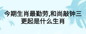 今期生肖最勤勞,和尚敲鐘三更起是什么生肖