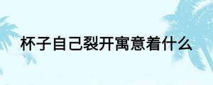 杯子自己裂開寓意著什么