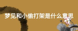 夢見和小偷打架是什么意思