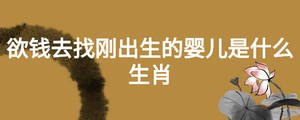 欲錢去找剛出生的嬰兒是什么生肖