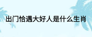出門恰遇大好人是什么生肖