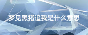 夢見黑豬追我是什么意思