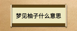 夢見柚子什么意思
