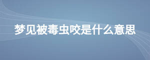 夢見被毒蟲咬是什么意思