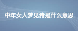 中年女人夢見豬是什么意思
