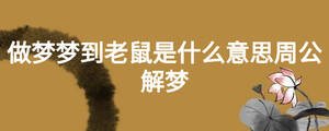 做夢夢到老鼠是什么意思周公解夢