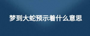 夢到大蛇預(yù)示著什么意思