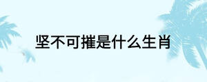 堅不可摧是什么生肖