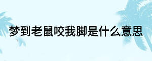 夢到老鼠咬我腳是什么意思