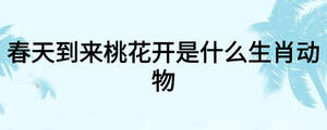 春天到來桃花開是什么生肖動物