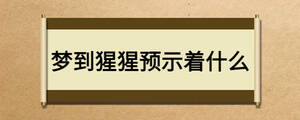 夢到猩猩預示著什么
