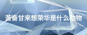 苦奮甘來(lái)想榮華是什么動(dòng)物