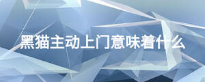 黑貓主動(dòng)上門意味著什么