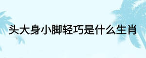 頭大身小腳輕巧是什么生肖