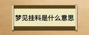 夢見掛科是什么意思