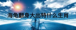 海龜翻身大出特什么生肖