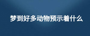 夢到好多動物預(yù)示著什么