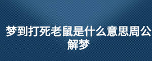 夢(mèng)到打死老鼠是什么意思周公解夢(mèng)