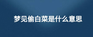 夢見偷白菜是什么意思