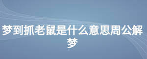 夢到抓老鼠是什么意思周公解夢