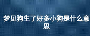 夢見狗生了好多小狗是什么意思