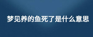 夢見養的魚死了是什么意思