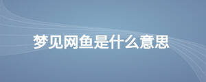 夢見網(wǎng)魚是什么意思