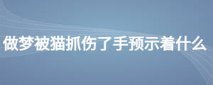 做夢被貓抓傷了手預示著什么