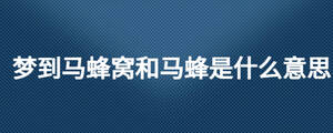 夢(mèng)到馬蜂窩和馬蜂是什么意思