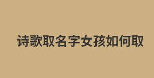 消息今日資訊熱點新聞公眾號首圖 (15).jpg